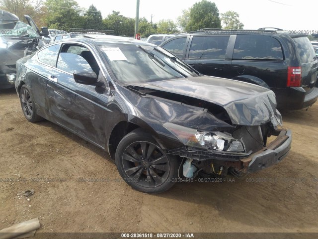 Honda Accord cpe (2012)
