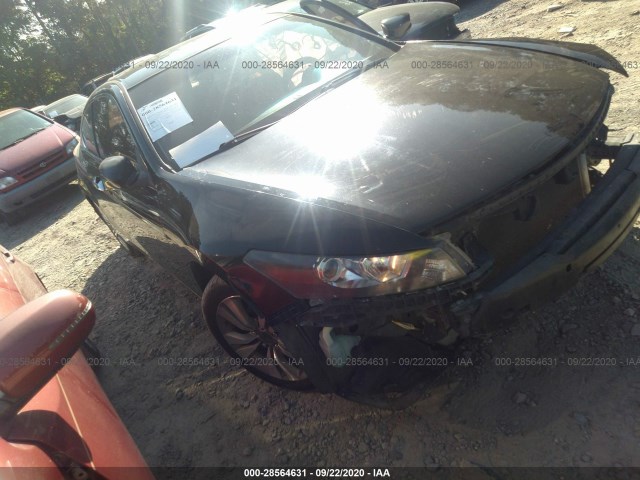 Honda Accord cpe (2012)