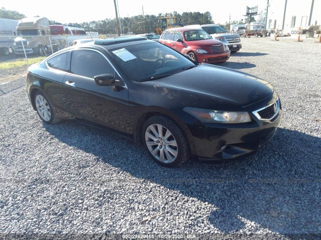 Honda Accord cpe (2010)