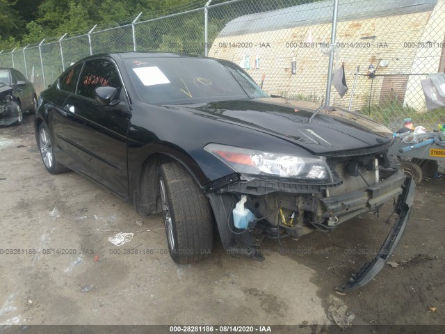 Honda Accord cpe (2010)