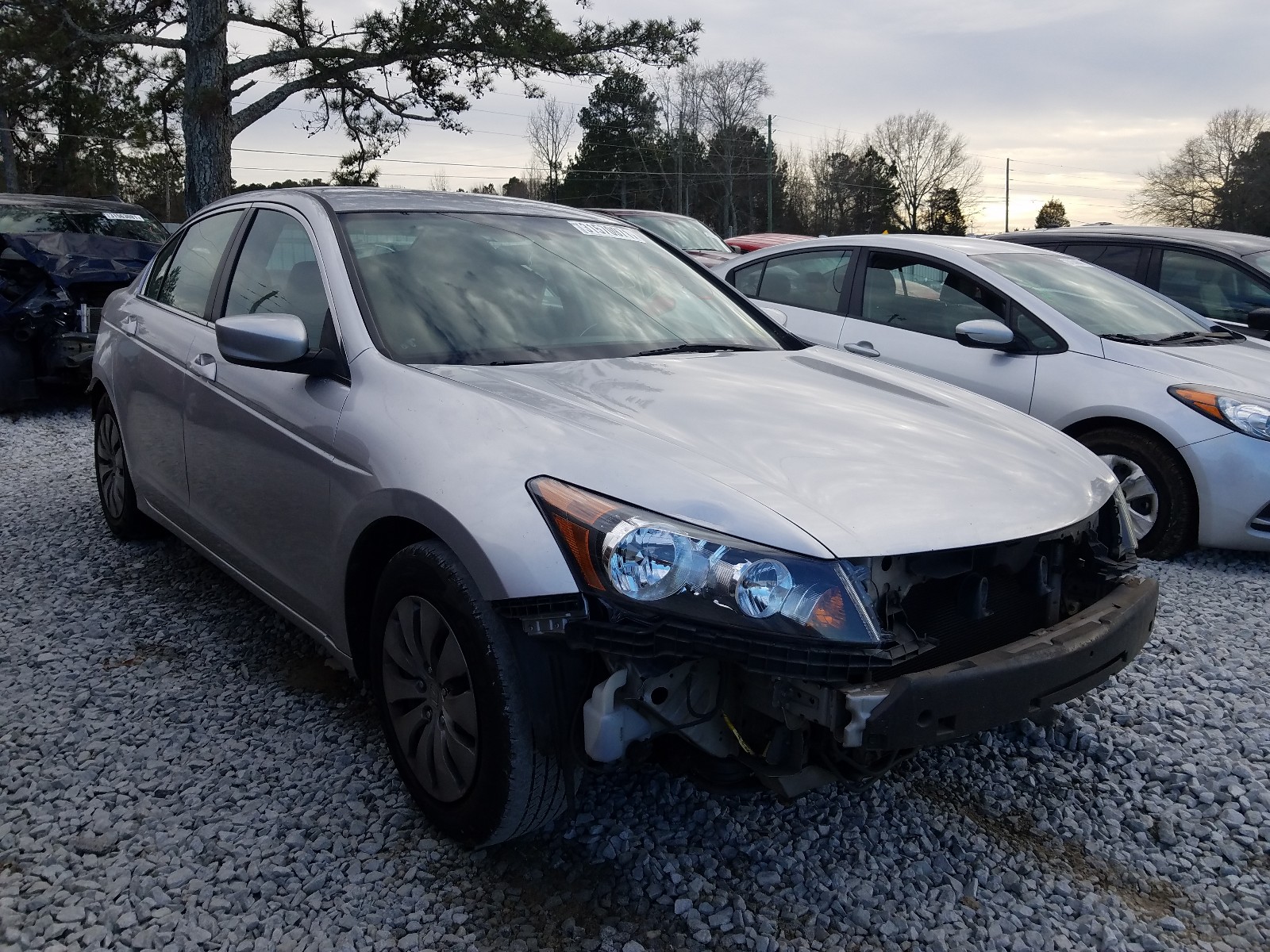 Honda Accord lx (2008)