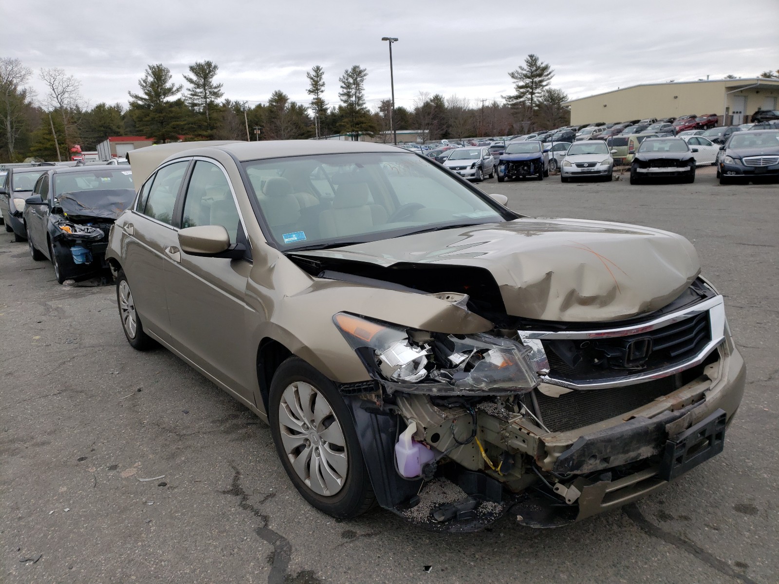 Honda Accord lx (2008)