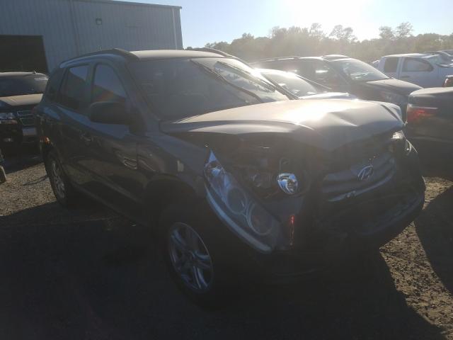 Hyundai Santa fe g (2012)