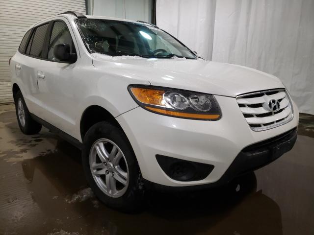 Hyundai Santa fe g (2010)