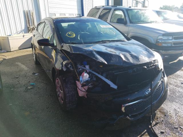 Kia Forte lx (2015)