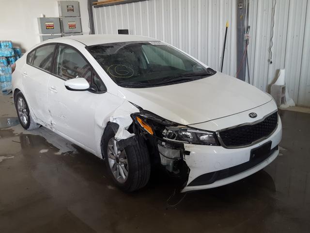 Kia Forte lx (2017)