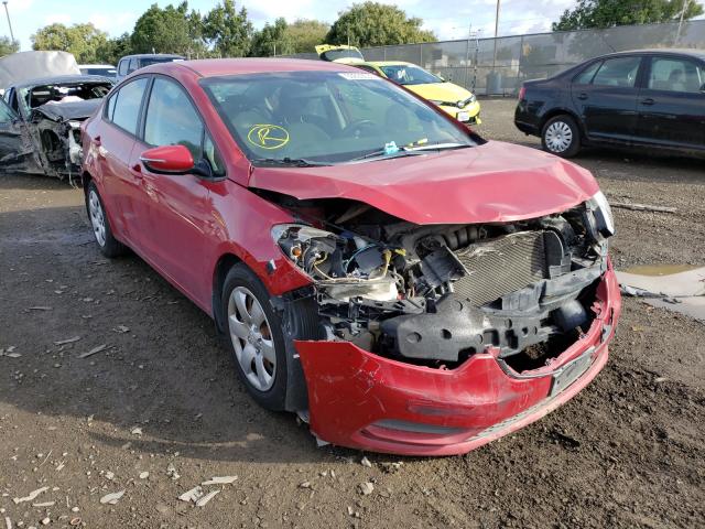 Kia Forte lx (2016)