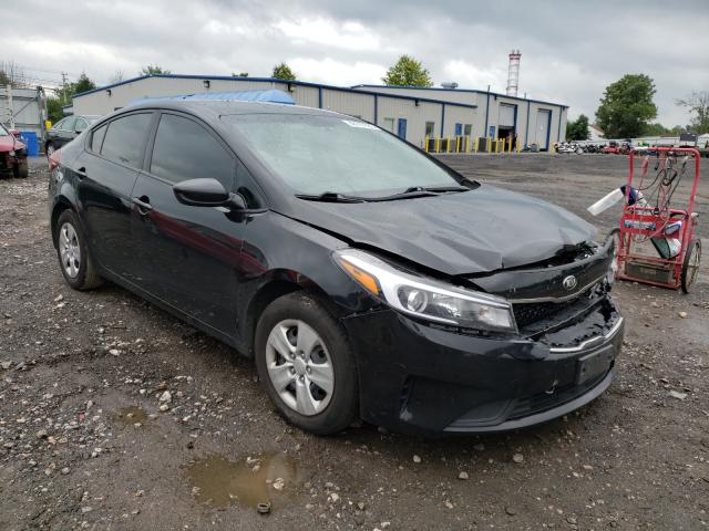 Kia Forte lx (2017)