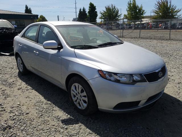 Kia Forte lx (2013)