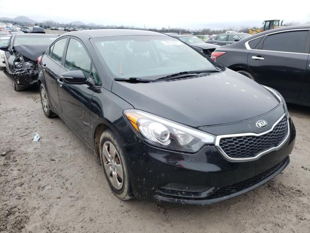 Kia Forte lx (2015)