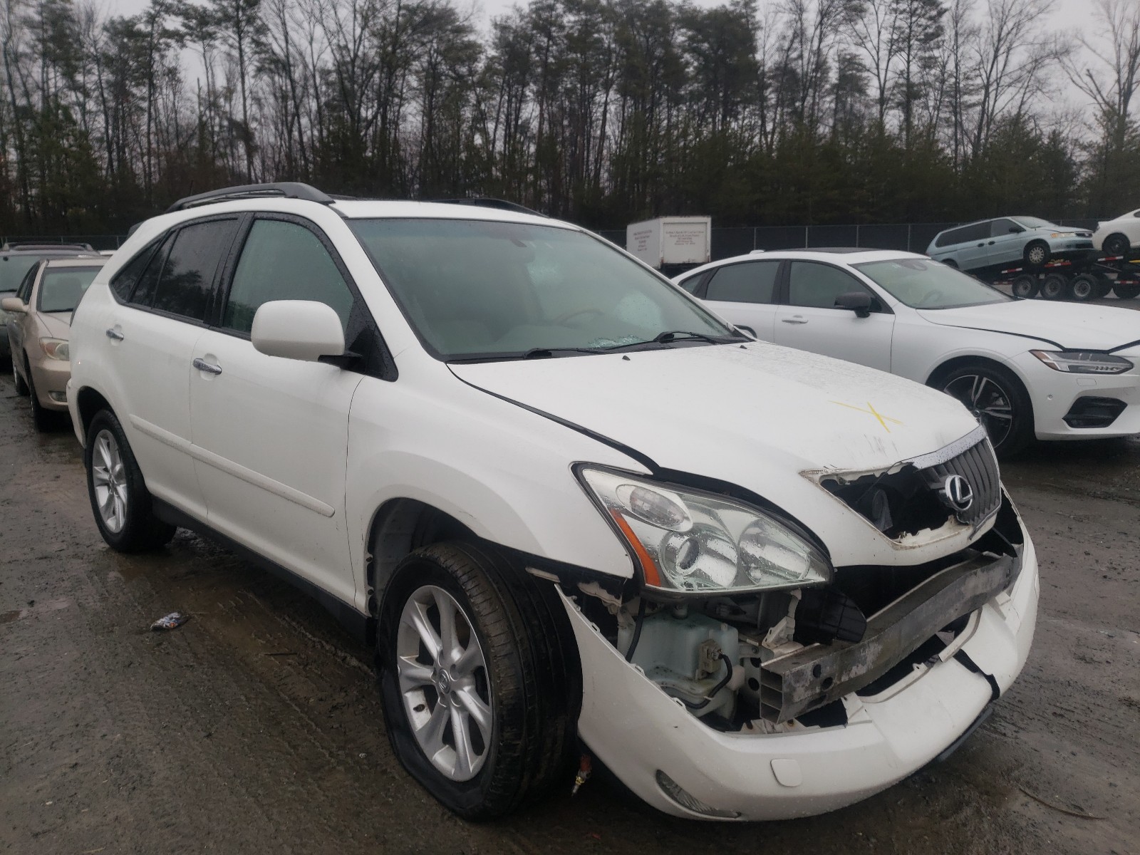 Lexus Rx 350 (2009)