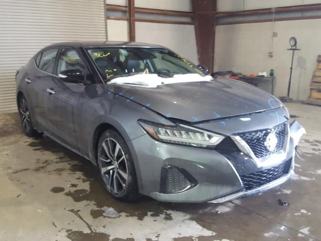 Nissan Maxima sv (2020)