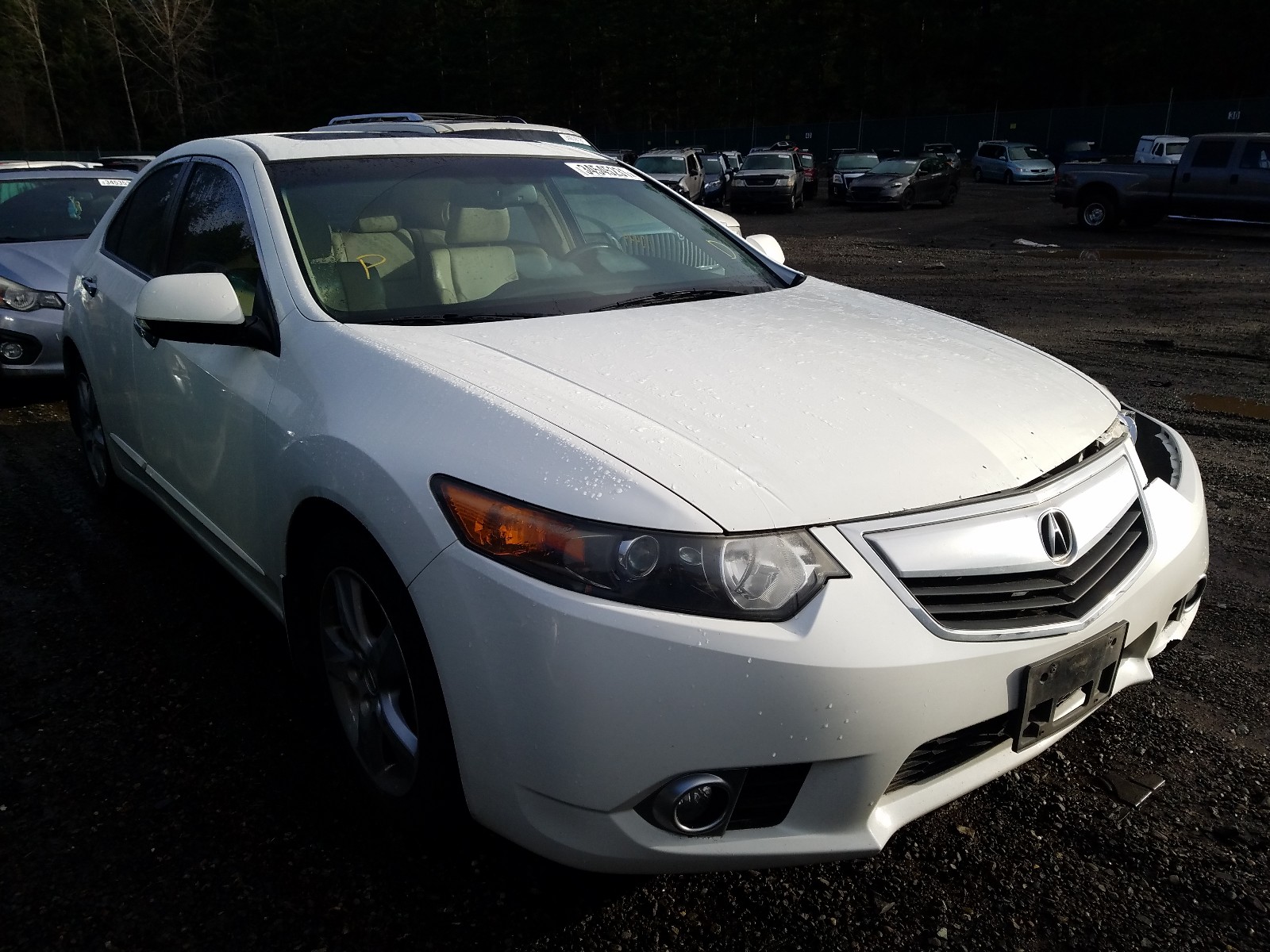 Acura Tsx tech (2012)
