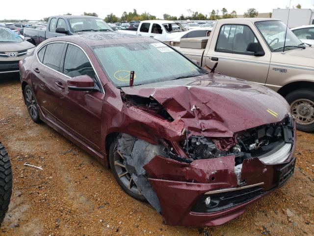 Acura Tlx advanc (2015)