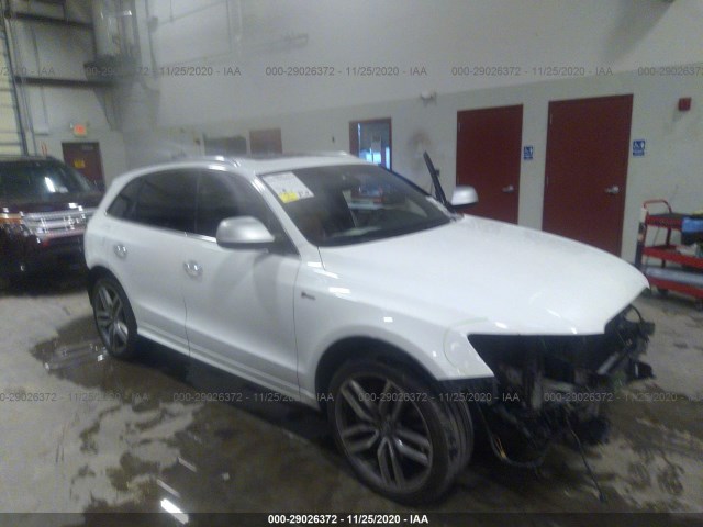 Audi Sq5 (2015)