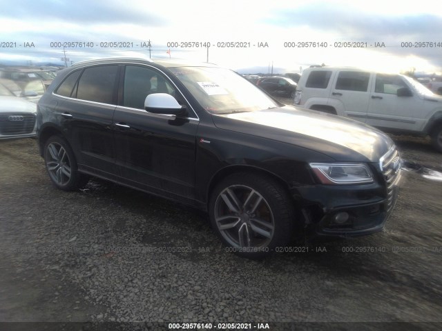 Audi Sq5 (2015)
