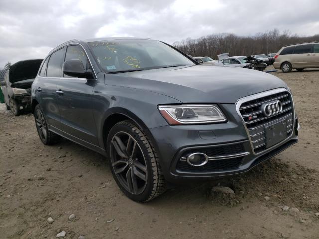 Audi Sq5 presti (2015)