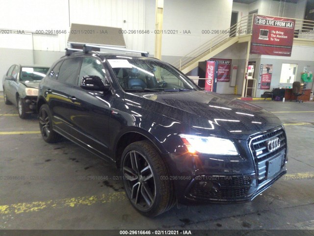 Audi Sq5 (2017)
