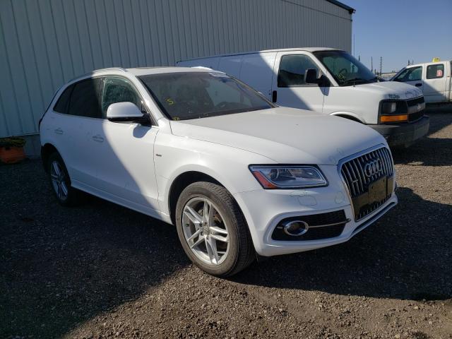 Audi Q5 technik (2017)