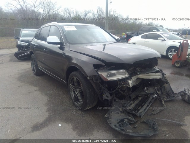 Audi Sq5 (2014)