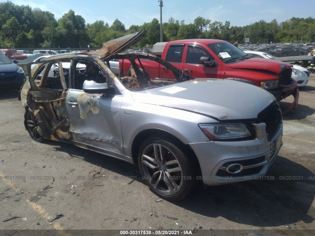 Audi Sq5 (2016)