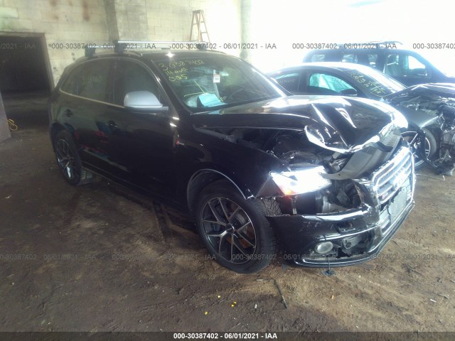 Audi Sq5 (2014)