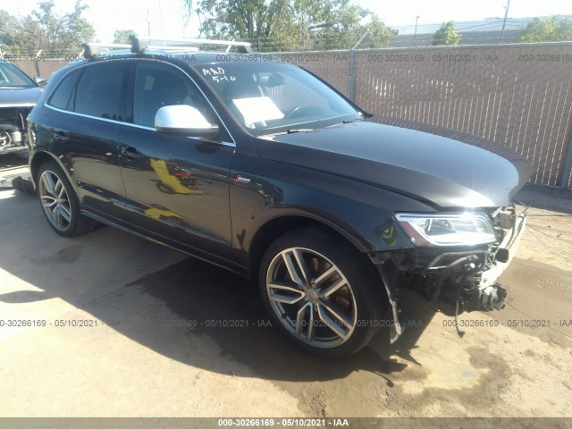 Audi Sq5 (2014)