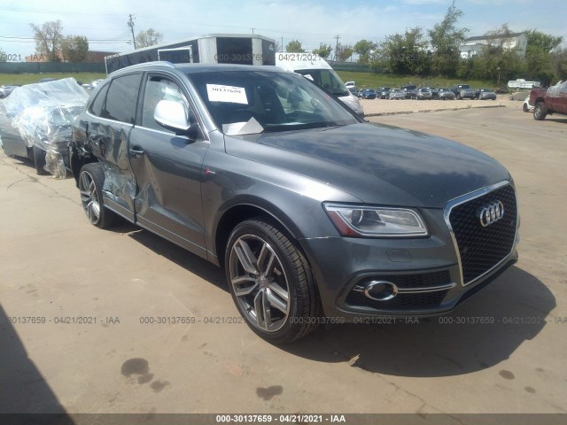Audi Sq5 (2014)