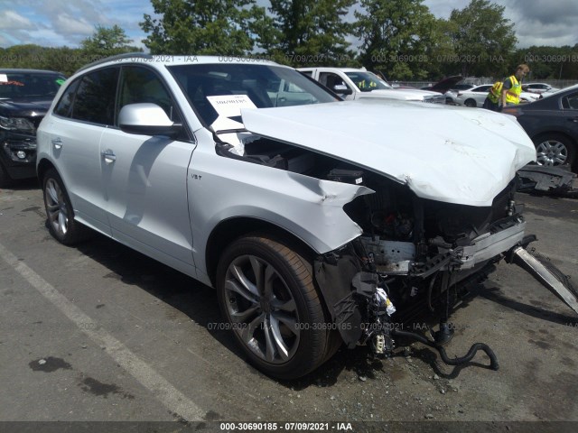 Audi Sq5 (2015)