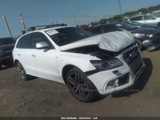 Audi Sq5 (2015)