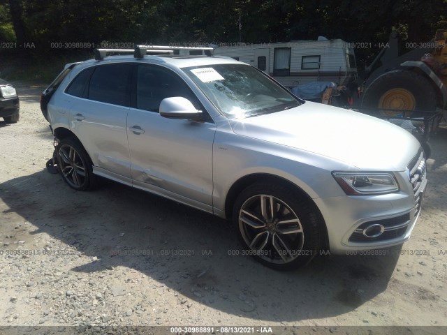 Audi Sq5 (2014)