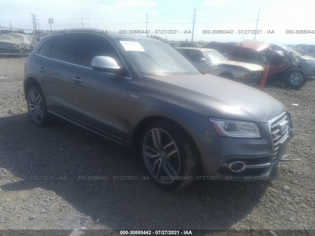 Audi Sq5 (2016)