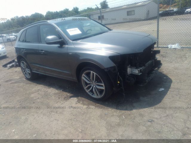 Audi Sq5 (2015)