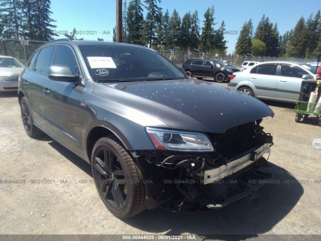 Audi Sq5 (2016)