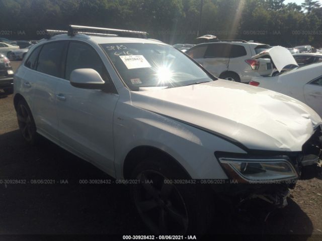 Audi Sq5 (2015)