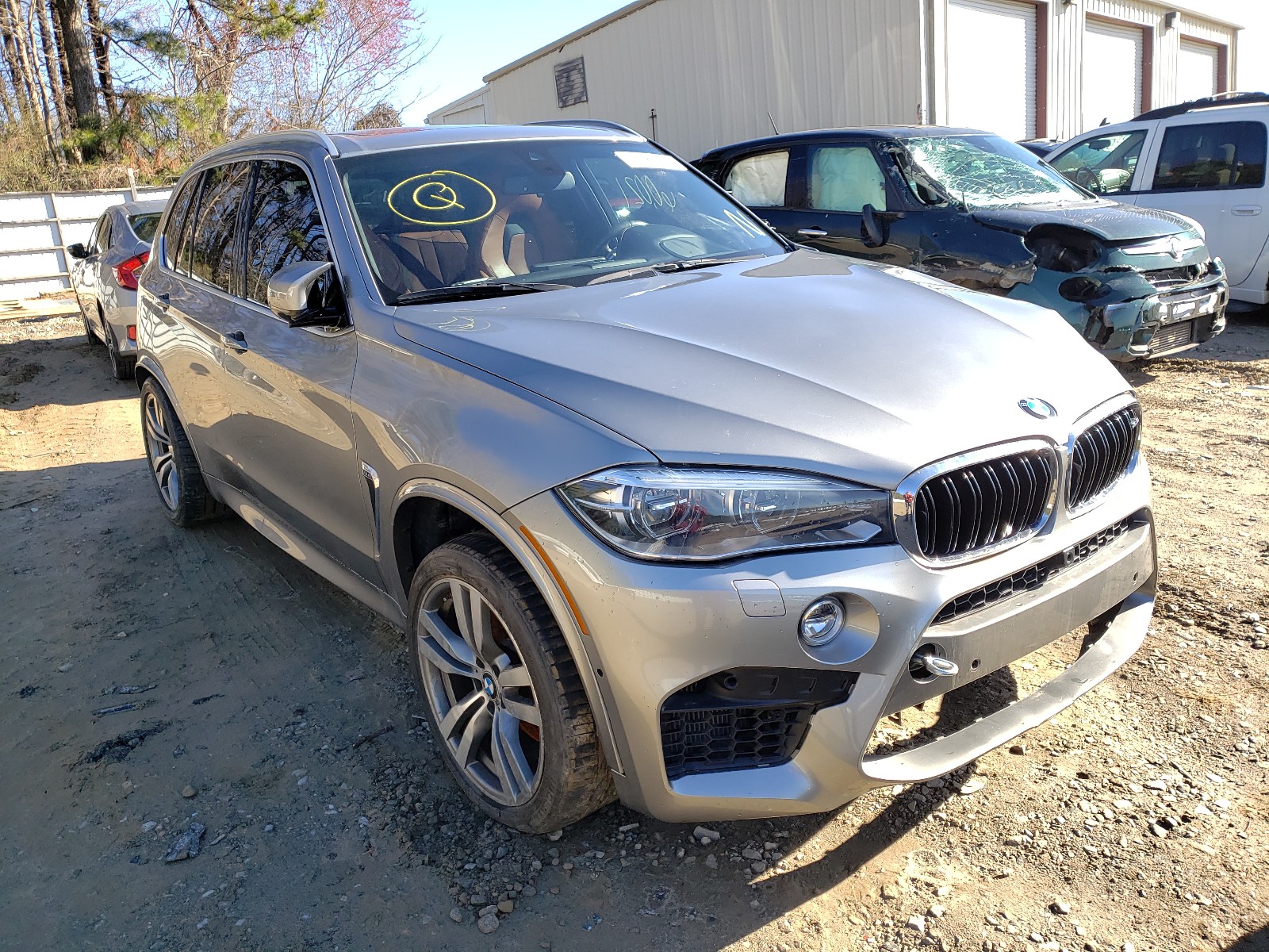 Bmw X5 m (2016)