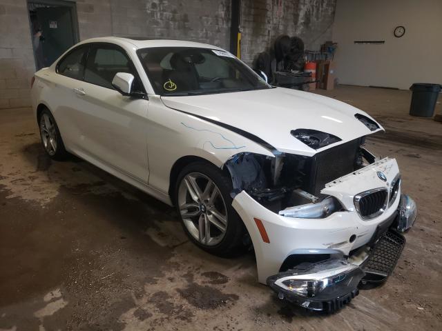 Bmw 228 xi sul (2016)