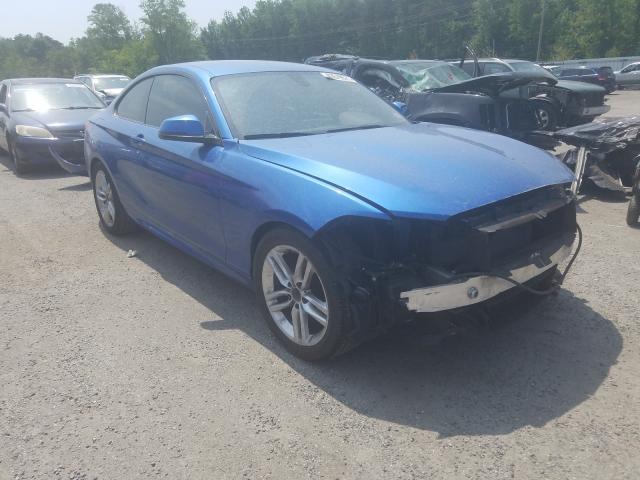 Bmw 228 xi sul (2015)