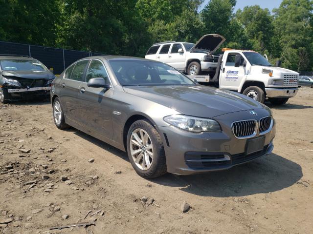 Bmw 528 xi (2014)