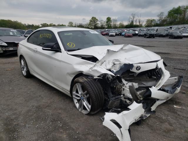 Bmw 228 xi sul (2016)