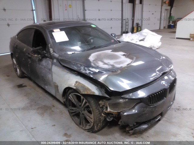 Bmw 4 (2016)