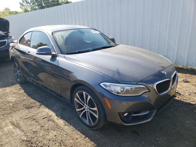 Bmw 228 xi sul (2016)