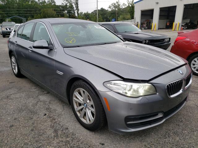 Bmw 528 xi (2014)