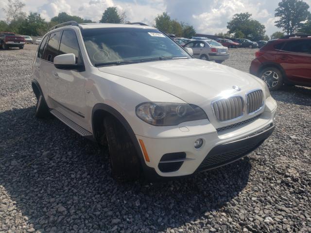 Bmw X5 xdrive5 (2011)