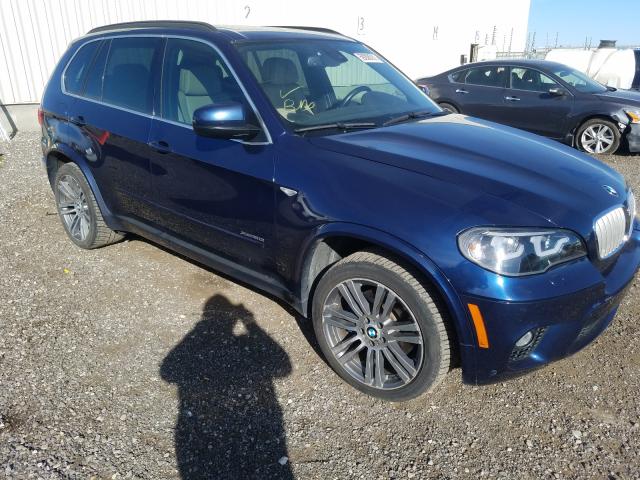 Bmw X5 xdrive5 (2011)