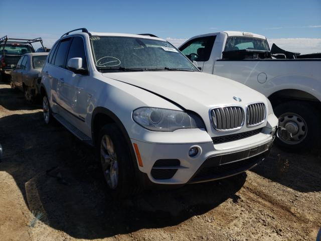 Bmw X5 xdrive3 (2013)