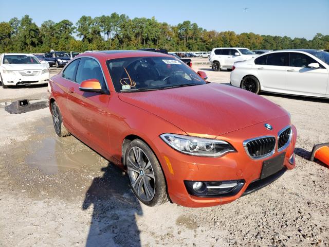 Bmw 228 xi sul (2016)