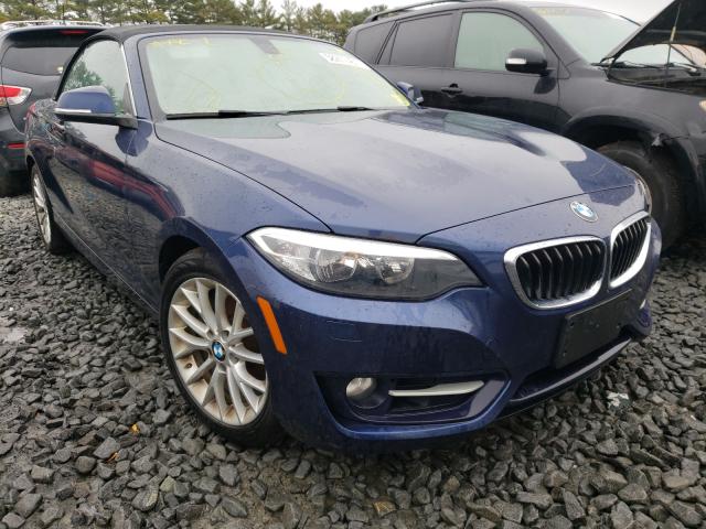 Bmw 228 xi sul (2016)