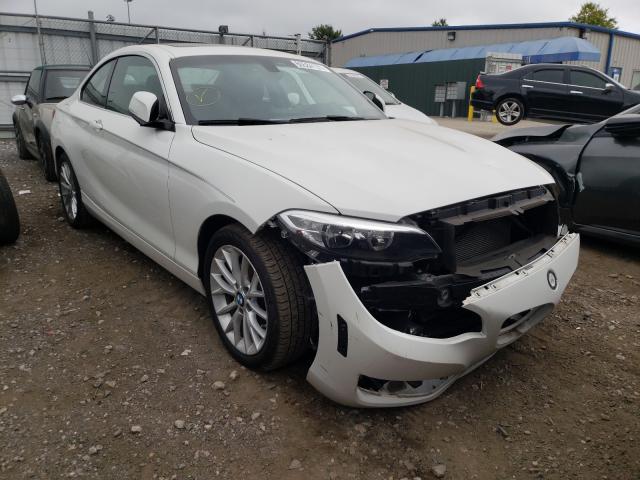 Bmw 228 xi sul (2016)