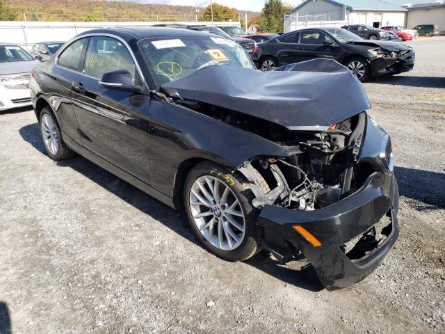 Bmw 228 xi sul (2016)